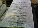 image of grave number 384106